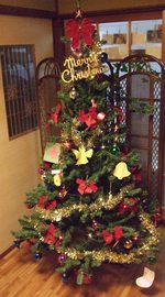 クリスマスツリーはいつまで飾るのだろうか。