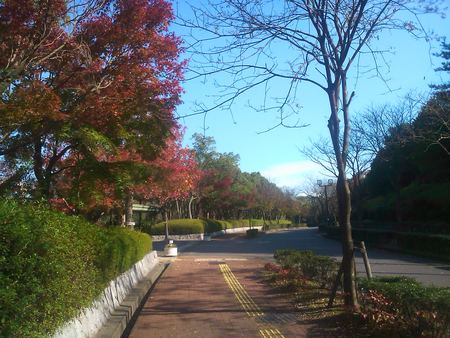 秋色の一日