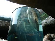 旭山動物園！！