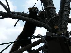旭山動物園！！