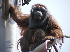 旭山動物園！！