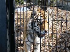 旭山動物園！！