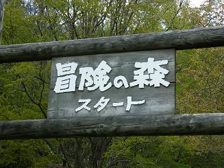 初キャンプ