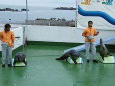 小樽水族館！！