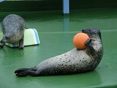 小樽水族館！！