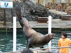 小樽水族館！！