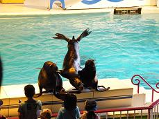 小樽水族館！！