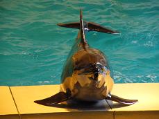 小樽水族館！！