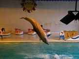 小樽水族館！！