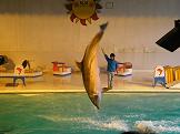 小樽水族館！！