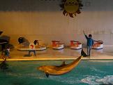 小樽水族館！！