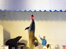 小樽水族館！！