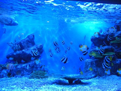 小樽水族館！！