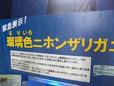 小樽水族館！！