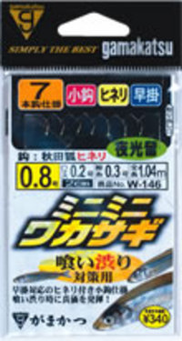 ワカサギ釣行第２弾