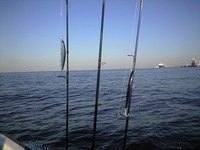 ２０１０　初釣行は・・・・。