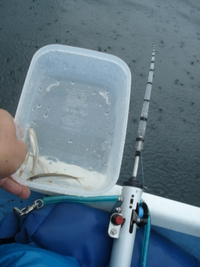 榛名湖ワカサギ釣り