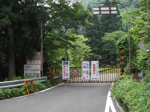 明日は釣れるかな フライのブログ 根尾川上流を歩く