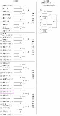 初瀬ドリームス招待試合