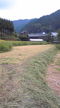 稲刈り終了(￣ー￣)ﾆﾔﾘｯ 2012/09/24 22:30:30