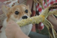 那須キャンプ２日目Part2