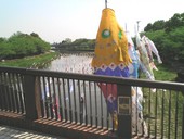 それぞれのお出かけ