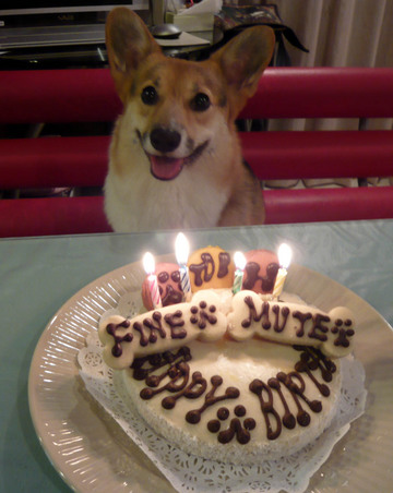 合同お誕生会＆BBQ　お誕生会編