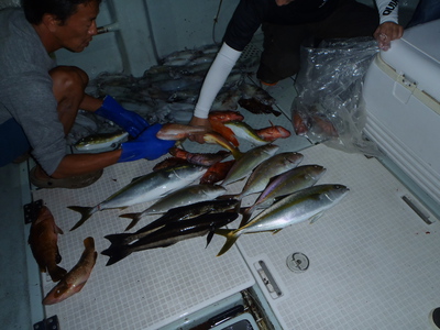 9月30日ワイルドなアレが釣れたぜぇ～@KRUISE
