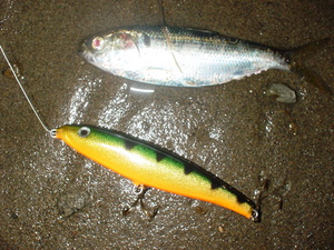 Live in RAPALA　イマジネーション