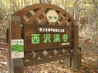 山梨西沢渓谷紅葉ツーリング 2006/10/30 19:37:03