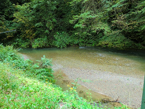 渓に勤しむ：：増水と濁り…