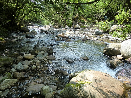 登山でぶぅ～in早池峰山(≧∇≦)