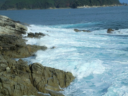 磯ロック；大荒れの中の貴重な１匹