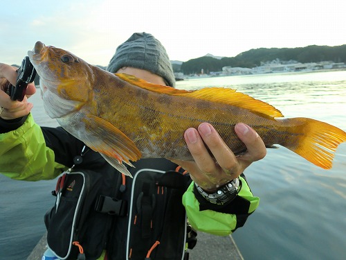 磯ロック；大荒れの中の貴重な１匹