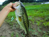 ご近所釣行：まさかの50UP捕獲！！ 2013/07/29 20:52:04
