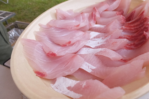 釣り＆キャンプ　釣った魚を食う！　そして飲む！！