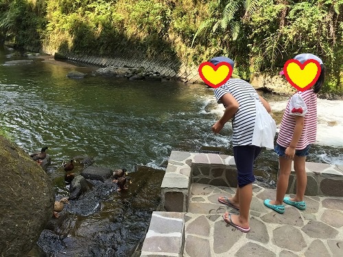 またまた霧島高原国民休養地へ