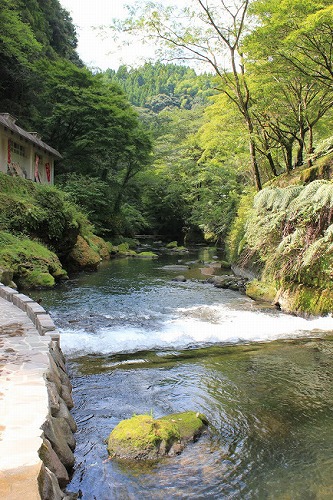 またまた霧島高原国民休養地へ