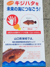 大切な事です。 2015/05/17 14:33:30