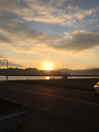 1月2日の記事 2016/01/02 19:31:56