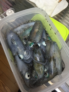 絶好調‼️ 2016/09/07 10:44:36