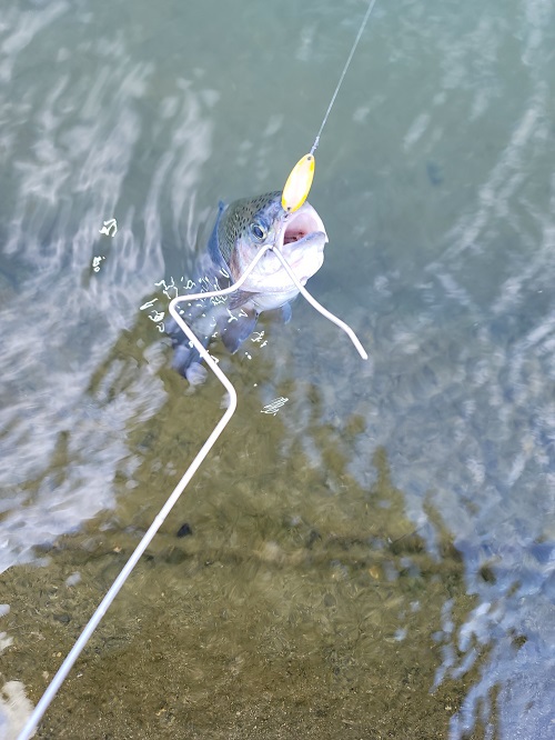 「北方ます釣り場」爆風のなかで釣行　最終話