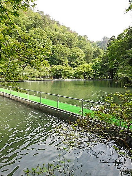 平日の「醒ヶ井養鱒場」  その1
