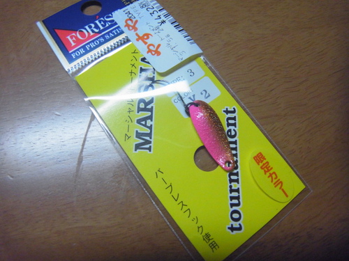 今月の散財