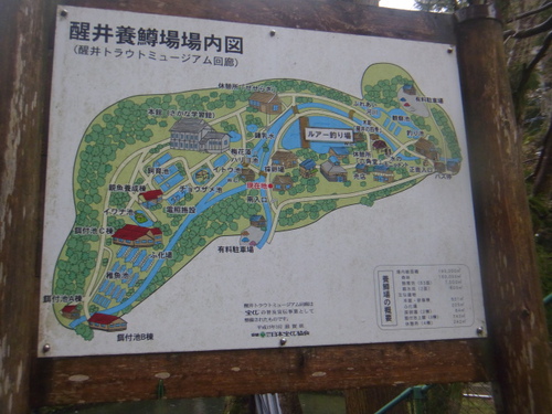 「醒ヶ井養鱒場」またもや雨、でも！   その1