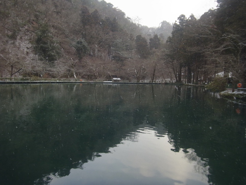 北方ます釣り場「大物釣り大会」　情報＆雨の中釣行