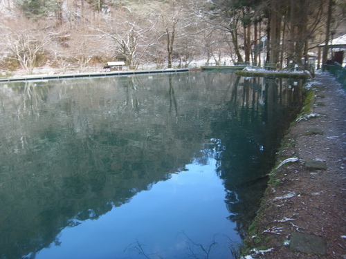 雪の「醒ヶ井養鱒場」　その２