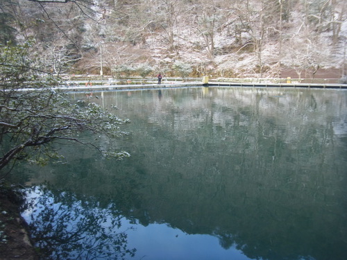 雪の「醒ヶ井養鱒場」　その２