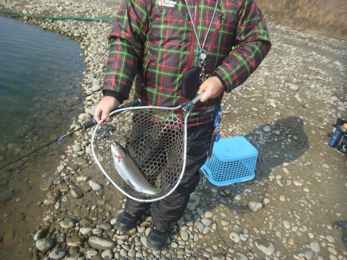 「北方ます釣り場」新春初釣行   その２