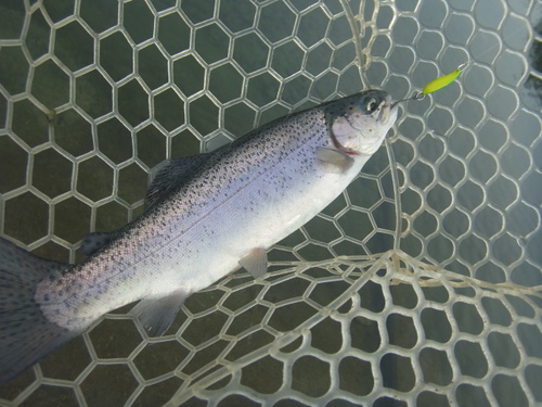 「北方ます釣り場」いい感じになってきました    その２